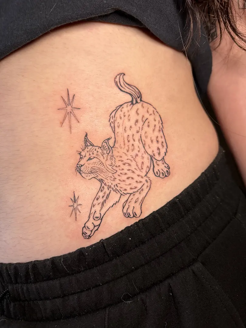 Tatuaje Fineline de estilo ilustrativo de un Lince acechando con dos estrellas. Realizado en la zona del vientre por Marta Tanta, en Karratu Tattoo, Bilbao.